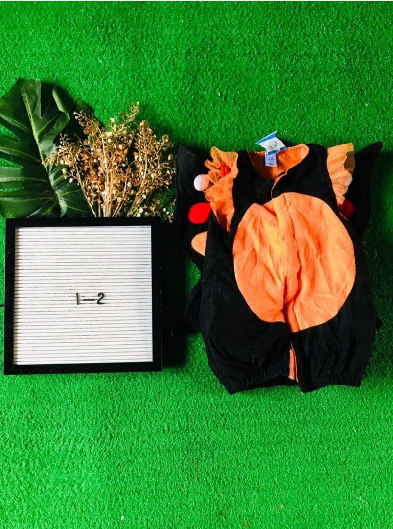 Butterfly baby costume (Category: Babies & Kids Fashion) located in Quezon City. Submitted by lynkirth (Listing ID 1341822332, Image 1). Description: .
