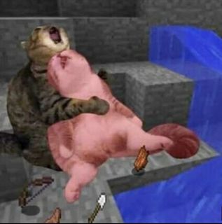 （分類：）位於 。 由 wyt818 提交（商品編號 1342488576，圖片 1）。簡介： 。