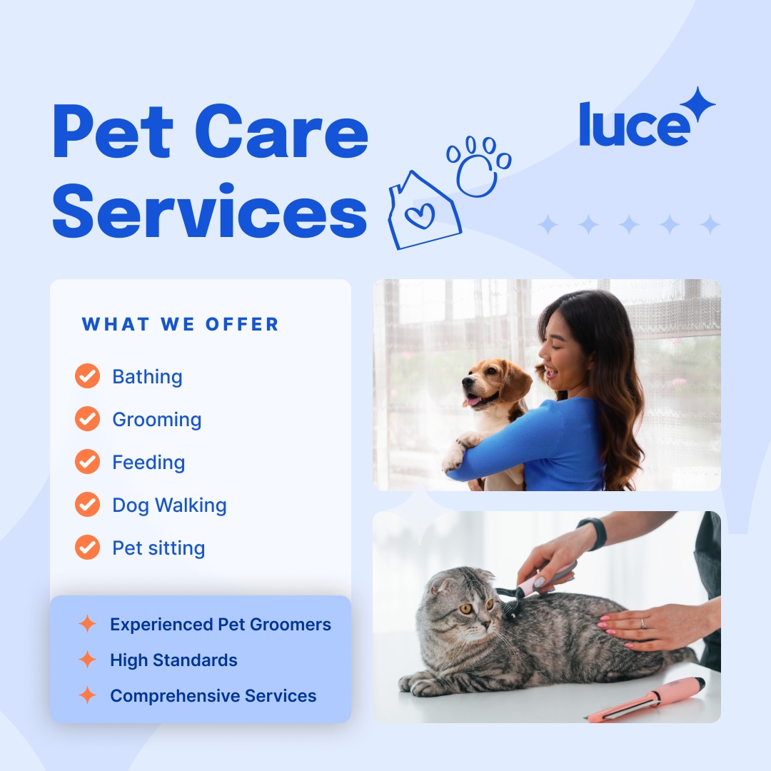 Affordable cat grooming home services Near You Pet Care Services Carousell Singapore