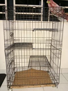 (Category: ) located in . Submitted by seharuslan37702 (Listing ID 1342462117, Image 1). Description: .