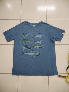 (Category: ) located in . Submitted by lulustore64 (Listing ID 1342375010, Image 1). Description: .