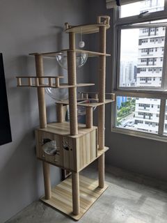 (Category: ) located in . Submitted by yokester (Listing ID 1342569573, Image 1). Description: .