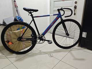 LEADER 725 Seafoam Green 54cm Fixie, Sports Equipment, Bicycles & Parts ...