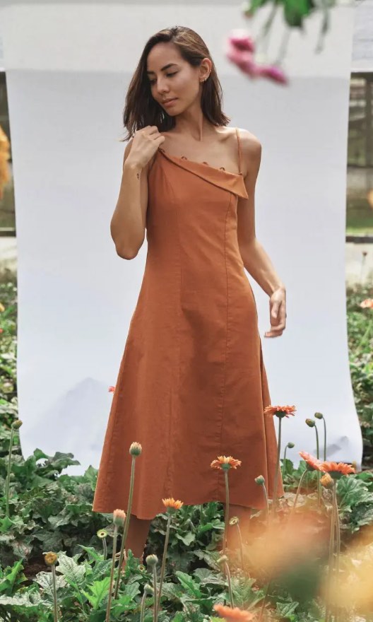 Anika midi dress main image 1