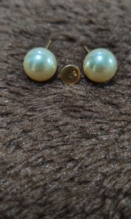 South sea pearl earings