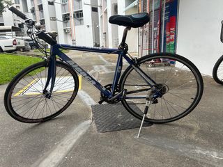 Female bike for sale clearance