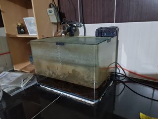 (Category: ) located in . Submitted by nixanuar (Listing ID 1339396853, Image 1). Description: .