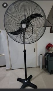 (Category: ) located in . Submitted by safebird.0f2f8d (Listing ID 1342768019, Image 1). Description: .