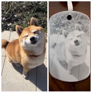 (Category: ) located in . Submitted by laserlux_sg (Listing ID 1342877065, Image 1). Description: .