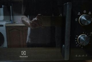 (Category: ) located in . Submitted by ah_kao (Listing ID 1342961317, Image 1). Description: .