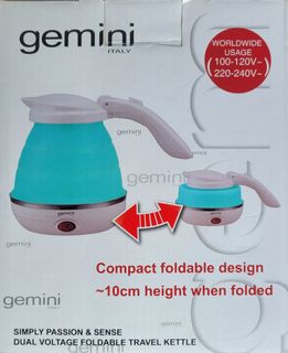 Gemini 旅行出售| Carousell Hong Kong