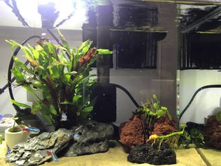 (Category: ) located in . Submitted by sprava (Listing ID 1342941830, Image 1). Description: .