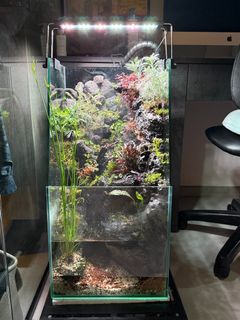 (Category: ) located in . Submitted by edwinchua (Listing ID 1343015772, Image 1). Description: .