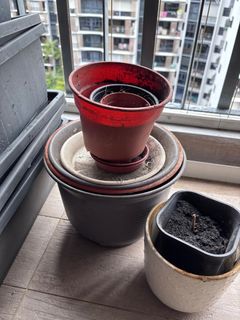 (Category: ) located in . Submitted by ongsusan (Listing ID 1342902665, Image 1). Description: .