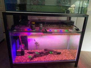 (Category: ) located in . Submitted by laiqabinteabdullah (Listing ID 1343107629, Image 1). Description: .