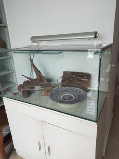 (Category: ) located in . Submitted by maecusareu (Listing ID 1343077667, Image 1). Description: .