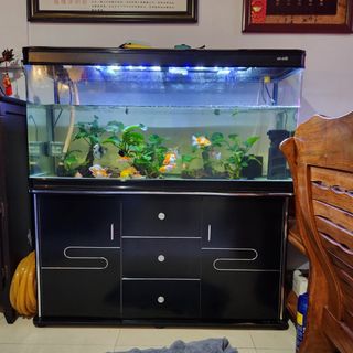 (Category: ) located in . Submitted by simonlqx (Listing ID 1343152680, Image 1). Description: .