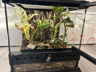 （分類：）位於 。 由 hchiu91 提交（商品編號 1343151392，圖片 1）。簡介： 。
