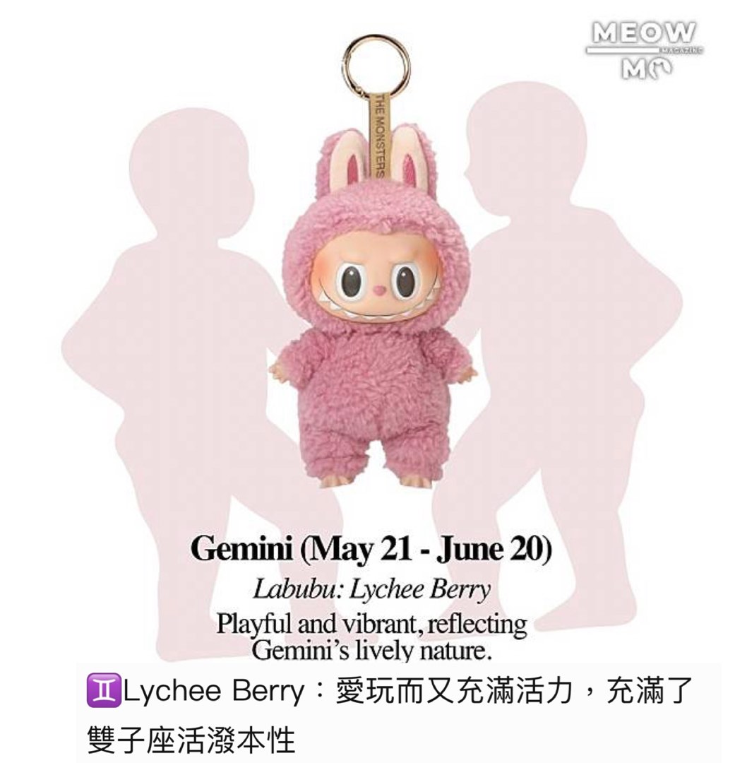 ミカン星様専 Labubu energy +MACARON 2箱