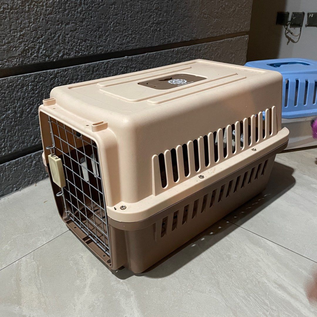 Pet Transport Philippine Airlines Pet Cargo Cargo Pet Travel Pet