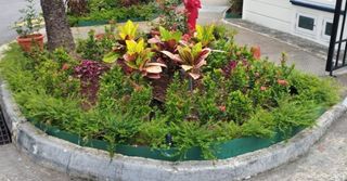 (Category: ) located in . Submitted by tgrlandscape (Listing ID 1343323870, Image 1). Description: .