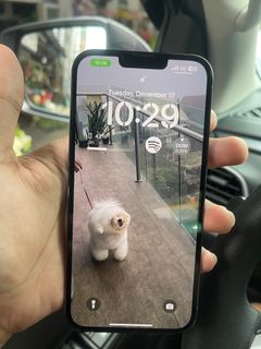 (Category: ) located in . Submitted by jiinnnnn (Listing ID 1343278925, Image 1). Description: .