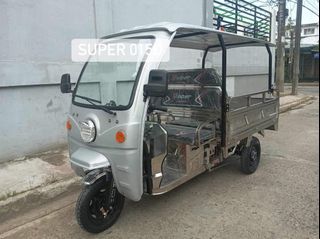 STAINLESS CARGO E-TRIKE WITH METAL ROOF & TRAPAL (1500W/60v32ah)