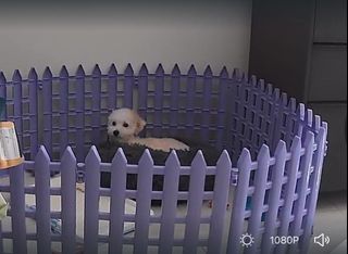 (Category: ) located in . Submitted by bunnybugs (Listing ID 1343638388, Image 1). Description: .