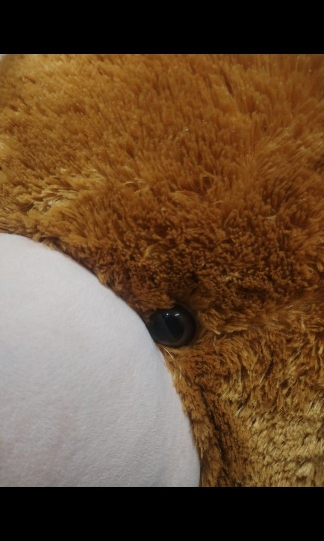 Blue Magic Life Sized Teddy Bear (Category: Plushies & Soft Toys) located in Quezon City. Submitted by veesvault (Listing ID 1343633694, Image 3). Description: Width: 88 cm / 3ft Height: 144cm / 4.7ft Comes with blue magic dust bag, good as new, holes or damages on the bear itself Shipping will be shouldered by the buyer Quezon City location Don't hesitate to dm me!.