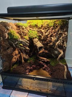 (Category: ) located in . Submitted by mureh2 (Listing ID 1343638064, Image 1). Description: .