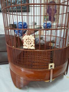 (Category: ) located in . Submitted by samykt (Listing ID 1343741457, Image 1). Description: .