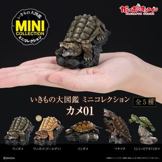 （分類：）位於 。 由 alephtang75299 提交（商品編號 1343855722，圖片 1）。簡介： 。