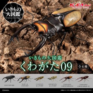 （分類：）位於 。 由 alephtang75299 提交（商品編號 1343854731，圖片 1）。簡介： 。
