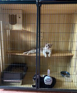 (Category: ) located in . Submitted by wawan0805 (Listing ID 1343707670, Image 1). Description: .