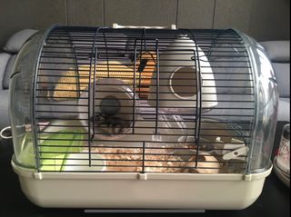 (Category: ) located in . Submitted by lisamisa (Listing ID 1343823804, Image 1). Description: .