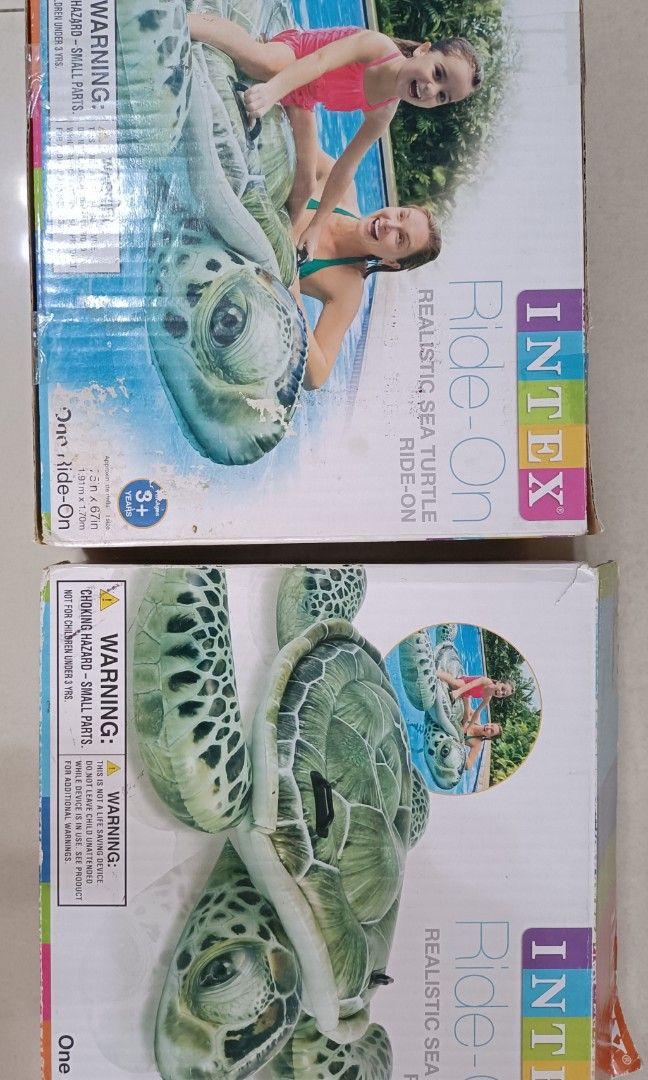 INTEX Turtle Float, Hobbies & Toys, Toys & Games on Carousell