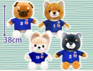 Amuse mameshiba For Sale Toys Games Carousell Singapore