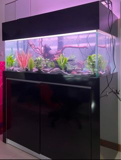 (Category: ) located in . Submitted by shaikaisha (Listing ID 1344123750, Image 1). Description: .