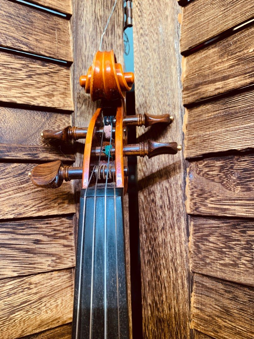 演奏級小提琴Roderich paesold #model 810 violin, 興趣及遊戲