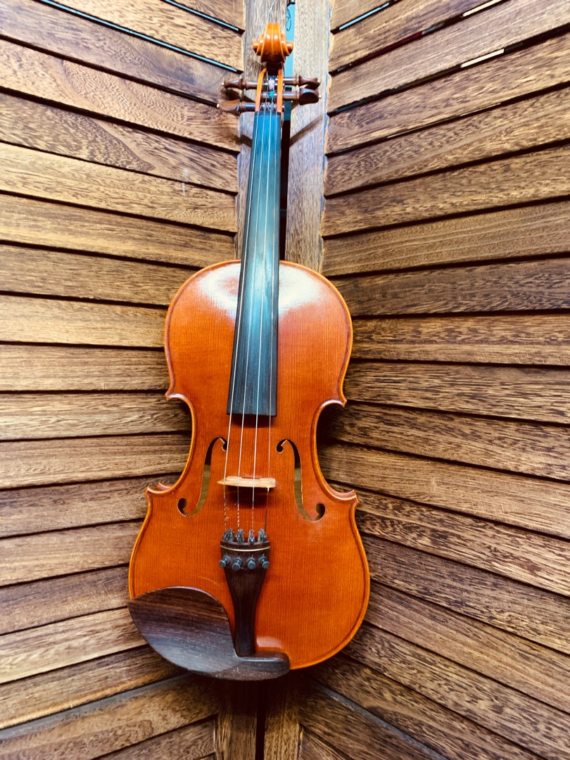 演奏級小提琴Roderich paesold #model 810 violin, 興趣及遊戲