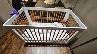 (Category: ) located in . Submitted by FastNCurious (Listing ID 1344129764, Image 1). Description: .