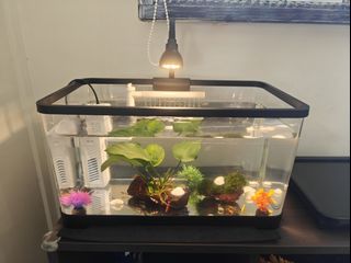 (Category: ) located in . Submitted by arrent (Listing ID 1344117479, Image 1). Description: .