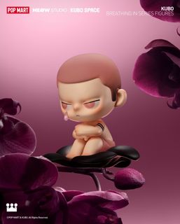 由 NNNNshop (刊登 ID 1344177285，圖片 1) 提交，位於 的 (類別：)，說明：。