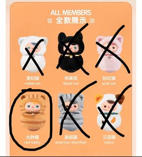 （分類：）位於 。 由 chocolaterainyy 提交（商品編號 1344206560，圖片 1）。簡介： 。