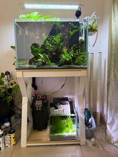 (Category: ) located in . Submitted by steve.garage (Listing ID 1344260589, Image 1). Description: .
