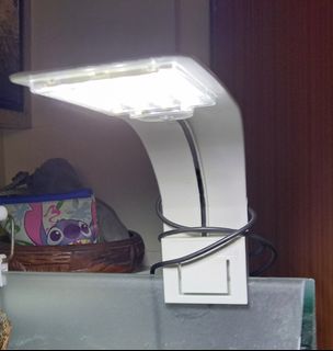 (Category: ) located in . Submitted by swiftturtle_ecff7e (Listing ID 1344307232, Image 1). Description: .