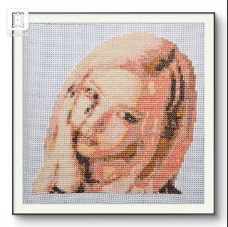 (Category: ) located in . Submitted by niceli67 (Listing ID 1344403093, Image 1). Description: .