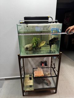 (Category: ) located in . Submitted by reginaling (Listing ID 1344379479, Image 1). Description: .