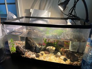 (Category: ) located in . Submitted by dean.ah (Listing ID 1339628362, Image 1). Description: .