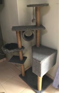 (Category: ) located in . Submitted by anba92 (Listing ID 1339589671, Image 1). Description: .